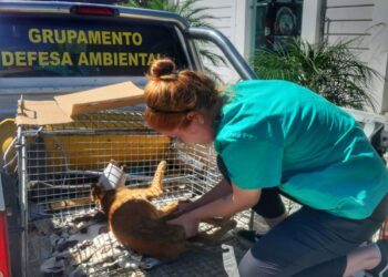 1303 Foto Prefeitura de Sao Leopoldo 1 e1678728305591