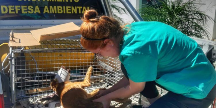 1303 Foto Prefeitura de Sao Leopoldo 1 e1678728305591