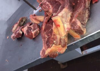 3003 Carne inutilizada Foto Ministerio Publico