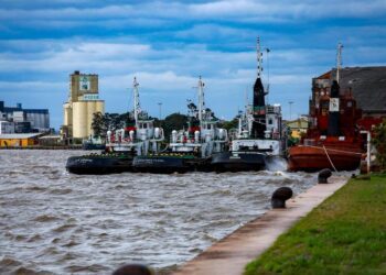 3103 Foto Alex Rocha PMPA