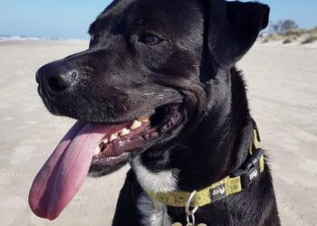 1404 Zeus e1681493657689