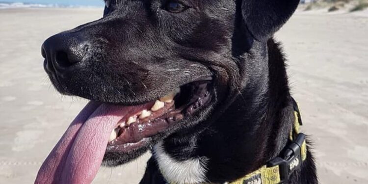 1404 Zeus e1681493657689