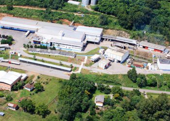 Foto Nicolini Divulgacao