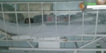 Menina Doente e1682728401741