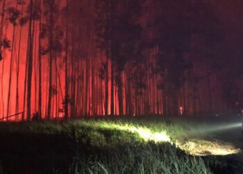 0305 Foto Corpo de Bombeiros Divulgacao