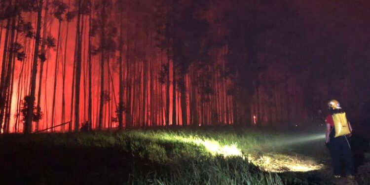 0305 Foto Corpo de Bombeiros Divulgacao