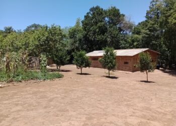 0805 Foto Eduardo Ruppenthal e1683570938121