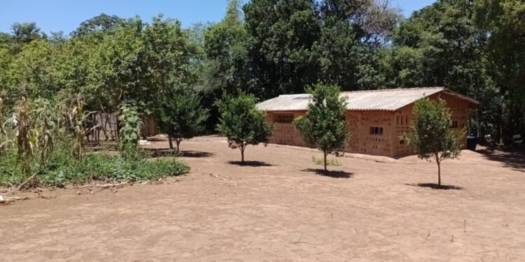 0805 Foto Eduardo Ruppenthal e1683570938121