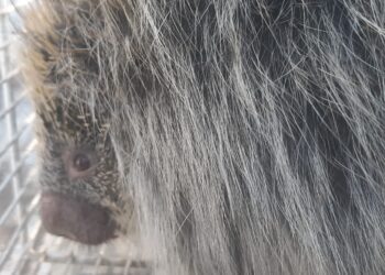 1005 Fotos Divulgacao