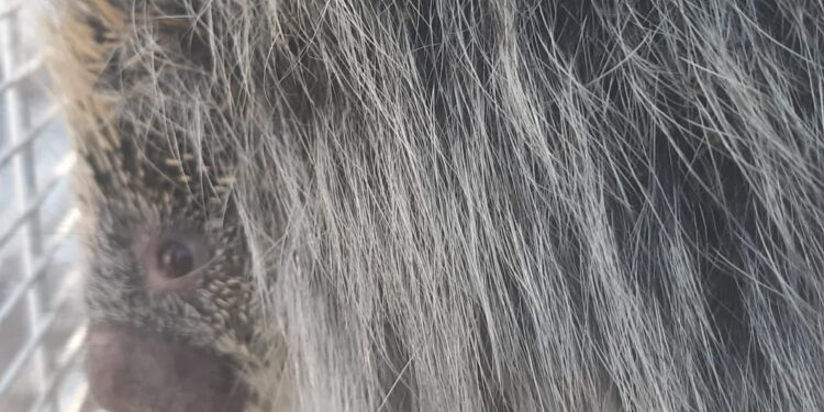 1005 Fotos Divulgacao