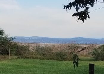 1005 Previsao do tempo e1683719938229