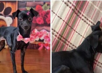 1905 Foto Arquivo pessoal