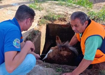 2505 Defesa Civil de Cachoeirinha