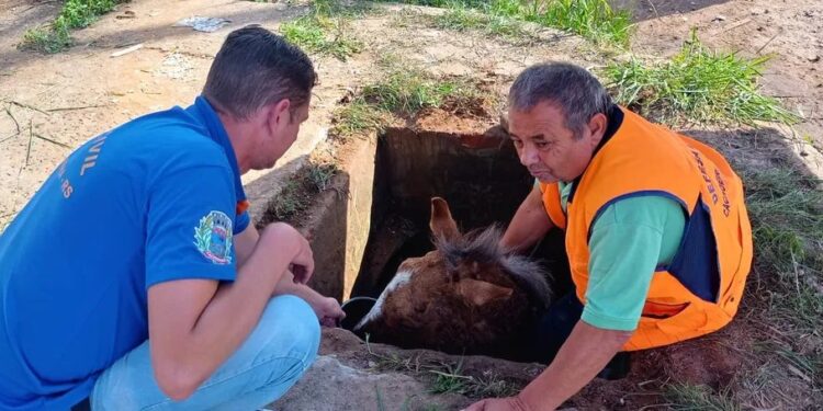 2505 Defesa Civil de Cachoeirinha