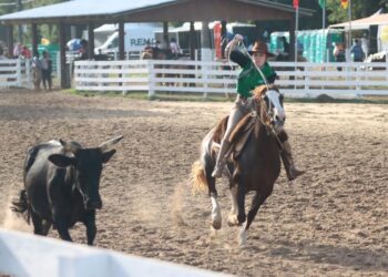 2905 Prefeitura de Osório