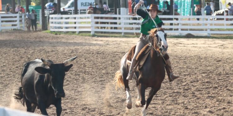 2905 Prefeitura de Osório