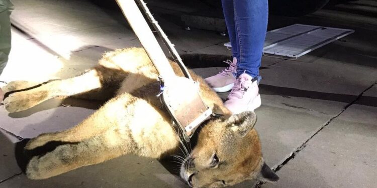 3005 3º Batalhão Ambiental da Brigada Militar