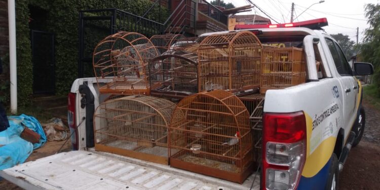 1406 Prefeitura de São Leopoldo Divulgação