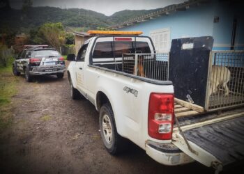 1506 Polícia Civil de Osório Divulgação