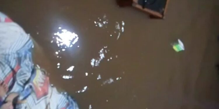 1606 Enchente Portão