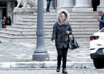 2806 Vinny Vanoni PMPA