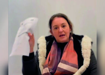 Prancheta 1 Joice Dillenburg Redes Sociais